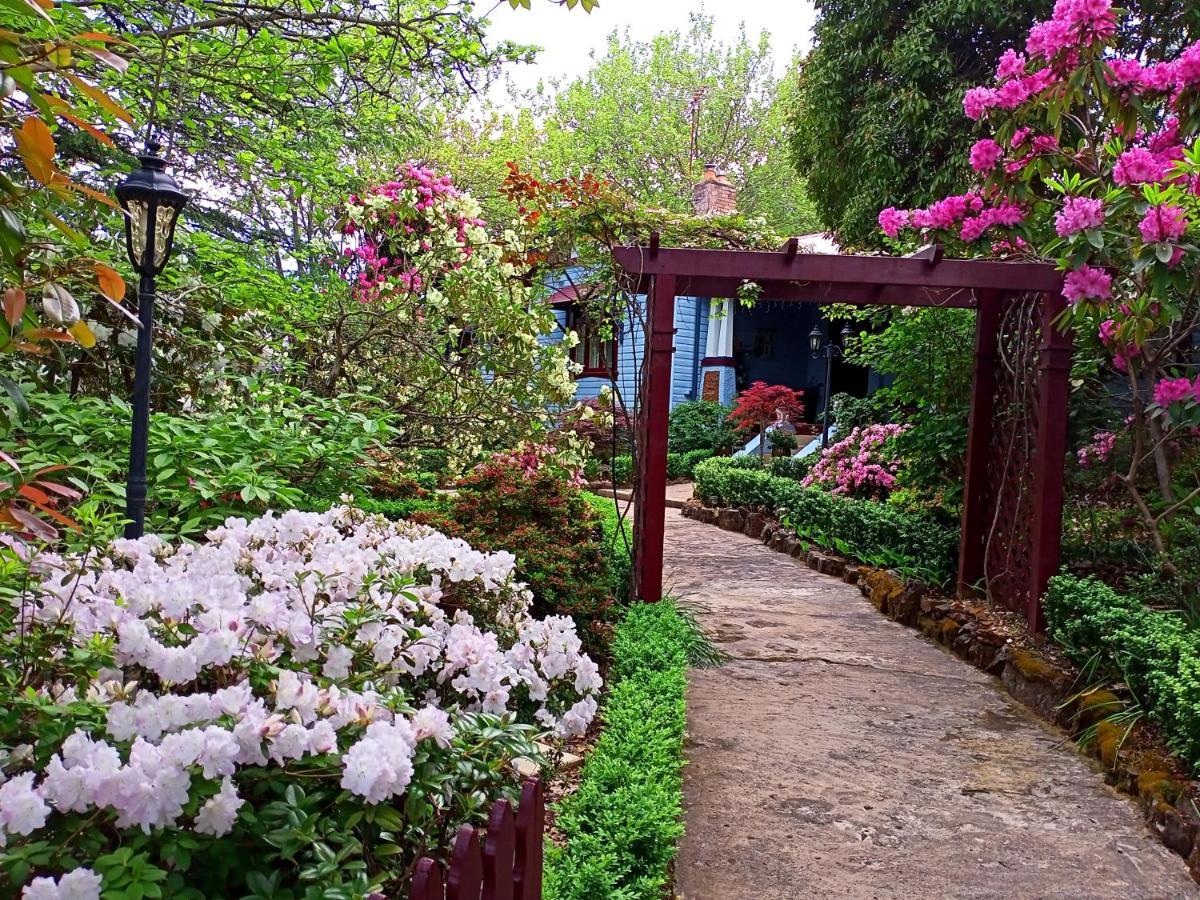 Kubba Roonga Guesthouse - Boutique Luxury Spa Retreat & Gardens - Blue Mountains Blackheath Buitenkant foto