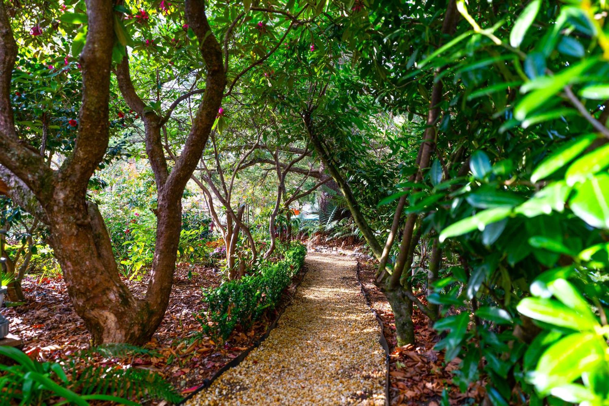 Kubba Roonga Guesthouse - Boutique Luxury Spa Retreat & Gardens - Blue Mountains Blackheath Buitenkant foto