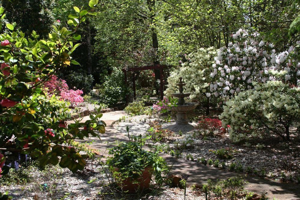 Kubba Roonga Guesthouse - Boutique Luxury Spa Retreat & Gardens - Blue Mountains Blackheath Buitenkant foto