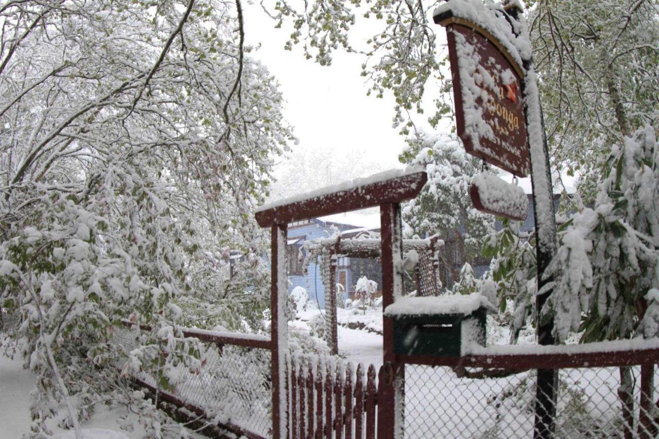 Kubba Roonga Guesthouse - Boutique Luxury Spa Retreat & Gardens - Blue Mountains Blackheath Buitenkant foto